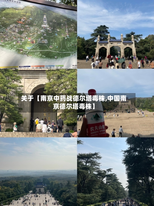 关于【南京中药战德尔塔毒株,中国南京德尔塔毒株】-第2张图片