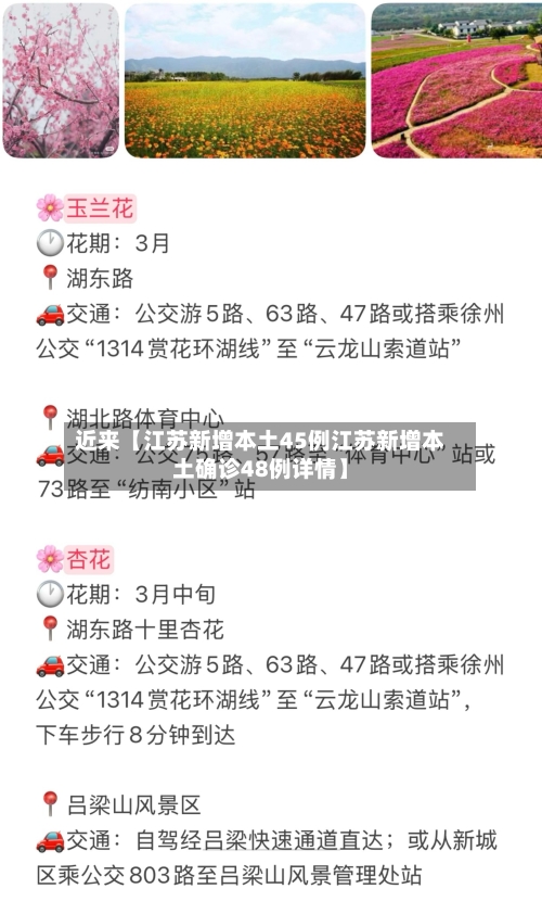 近来【江苏新增本土45例江苏新增本土确诊48例详情】-第2张图片