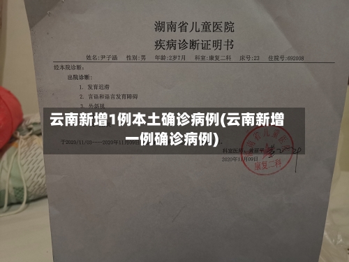 云南新增1例本土确诊病例(云南新增一例确诊病例)-第3张图片