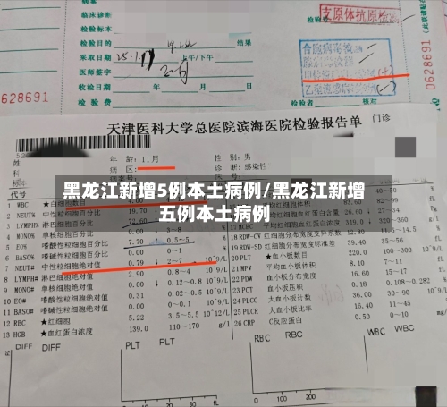 黑龙江新增5例本土病例/黑龙江新增五例本土病例-第2张图片