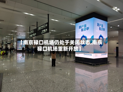 【南京禄口机场仍处于关闭状态,南京禄口机场重新开放】-第1张图片