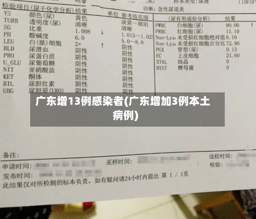 广东增13例感染者(广东增加3例本土病例)-第2张图片